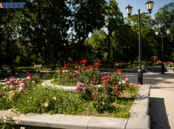 В Таганроге планируют высадить более 86 тысяч цветов 