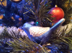 «Блокнот Таганрог» поздравляет всех с наступающим Новым годом!