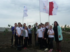 Дубы и сирень появились в музейном комплексе «Самбекские высоты» под Таганрогом 