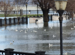 Красота и мощь: скрытая сторона бушевавшего в Таганроге урагана