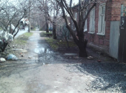 В Таганроге появились мигрирующие мусорки и мусорные деревья