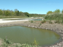 Остались лужи с дохлой рыбой: пересохла река, впадающая в Таганрогский залив - экокатастрофа