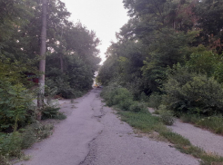 В этот день 329 лет назад Император ступил на мыс Таганий рог