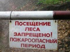 Таганрожцам запретили разводить костры на дачах и приезжать в лес на автомобилях