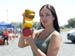 В Ростовской области появилась новая сельскохозяйственная ярмарка