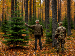 Патрули и опергруппы: на кого открыта круглосуточная охота в донских лесопарках