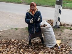Бабушка из Таганрога убирает улицы просто потому, что не любит мусор
