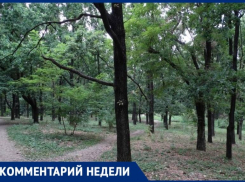 Администрация Таганрога ответила на вопрос о вырубке деревьев в разных районах города