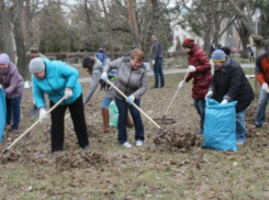 Итоги месячника чистоты подвели в Таганроге