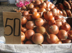 Луковый шок в Таганроге – цена на овощ растет неудержимыми  темпами