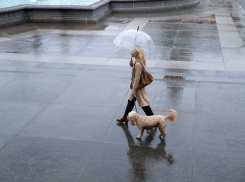 Какими обещают быть будущие выходные: прогноз погоды для таганрожцев