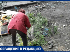 Таганрожцы никогда не научатся культуре бытия