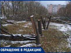 «Благоустройство» общественных мест в Таганроге