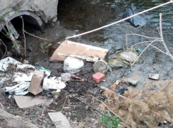 Ничего не меняется: экологию малых рек показали таганрожцы на фото