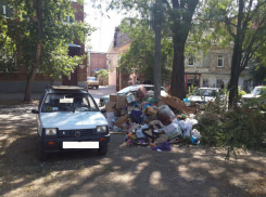 Отсутствие контейнеров в центре Таганрога превращает город в свалку