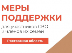 Чат-бот поддержки участников СВО стал доступен жителям Ростовской области