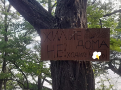 Отказ от туристической компоненты Таганрога: Богудония продолжает строить заборы