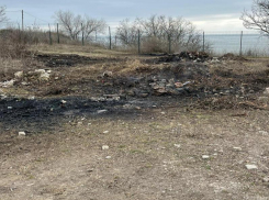 И снова пожар: жители Таганрога выяснили, кто разводит костры на территории Приморского парка