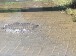 И вновь бежит поток питьевой воды по улице Дзержинского в Таганроге