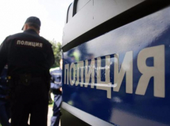 Несовершеннолетнюю последовательницу Федора Конюхова поймали полицейские Таганрога