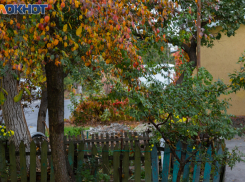 В Таганрог приходит похолодание
