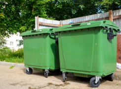 Проблема мусора в Таганроге будет решена