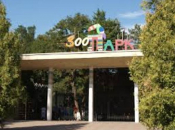 Имя таганрожца увековечили на ростовской Аллее звёзд