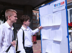 После пересдачи смогли улучшить результаты ЕГЭ 70% донских выпускников