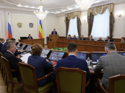 Врио губернатора Ростовской области призвал чиновников повысить качество ответов на запросы граждан