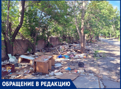 Таганрог утопает в мусоре взамен гаражей: кто ответит за хаос у школ и на улицах?