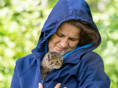 День волонтера: сердца, полные доброты