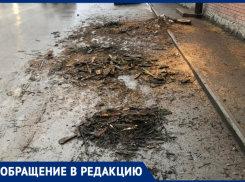 Спилить - спилили, а убрать забыли: МКУ «Благоустройство» вновь «радует» таганрожцев своей работой