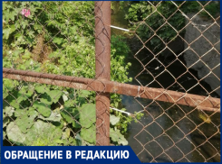 Из года в год: жалобы на состояние малых городских рек Таганрога те же, что и в прошлом году
