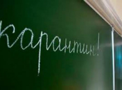 29 школ Ростовской области сняли с карантина