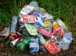 Мусор на даче жечь можно: ответ Роскачества для таганрожцев с загородными домами