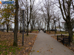 Новости народного календаря для таганрожцев: 6 ноября — день иконы «Всех скорбящих Радость»