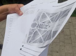 Скандал с вырубкой деревьев в Таганроге: комментирует МКУ «Приморье»