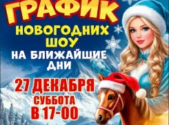 27 декабря откроется дверь в сказку, которая умеет удивлять