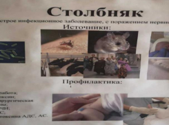 В таганрогском травмпункте похожих на цыган людей обвинили в переносе столбняка