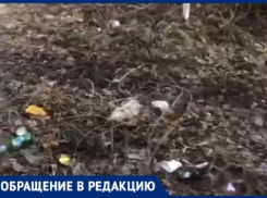 Сквозь залежи мусора пробираются таганрожцы к спортзалу «Скульптор»