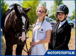 В Таганроге прошло Первенство по паралимпийскому конному спорту