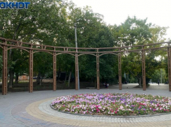 В роще «Дубки» заканчивается первый этап реконструкции