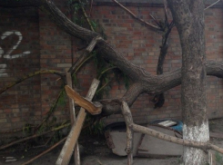 Благоустройство Таганрога оставляет желать лучшего