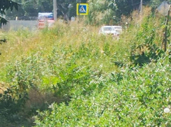 Тротуара пока не будет: власти Таганрога снова разочаровали жителей Мариупольского шоссе