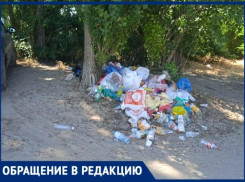 Желая превратить Таганрог в курорт, городские власти убрали мусорные контейнеры с побережья?