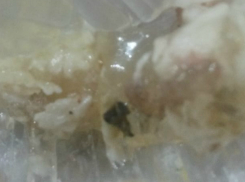 Холодец с молью – новое «экстравагантное»  блюдо «Белого парохода» в Таганроге