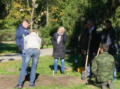 День древонасаждения подарит Таганрогу 750 деревьев 