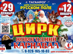 Смех, чудеса и волшебство: встречайте Новый год в цирке