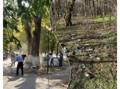 Таганрог задыхается от мусора, а коммунальщики «позируют» для фотоотчётов об успешных уборках