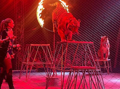 С 7 октября в Таганроге: «Цирк, цирк, цирк!»